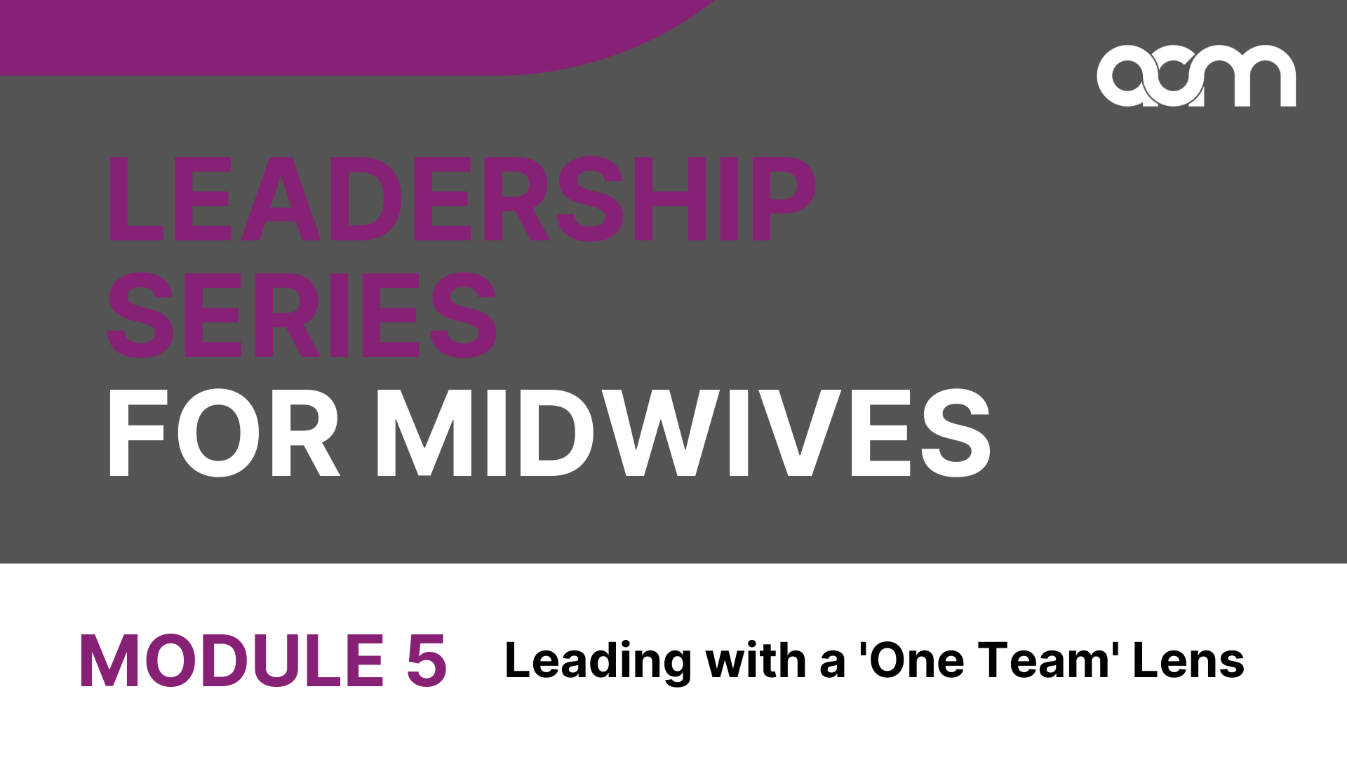 2024 Leadership Series for Midwives - Module 5